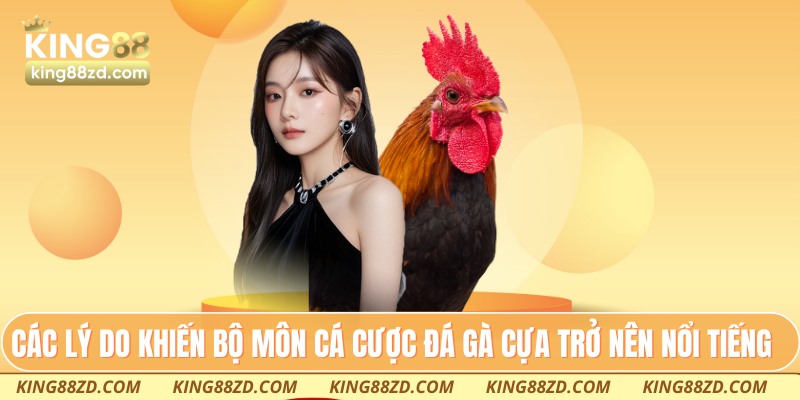 Các lý do khiến bộ môn cá cược đá gà cựa trở nên nổi tiếng