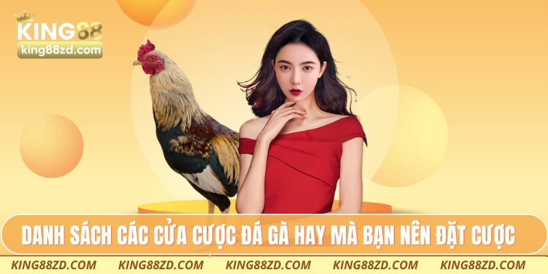 Danh sách các cửa cược đá gà hay mà bạn nên đặt cược