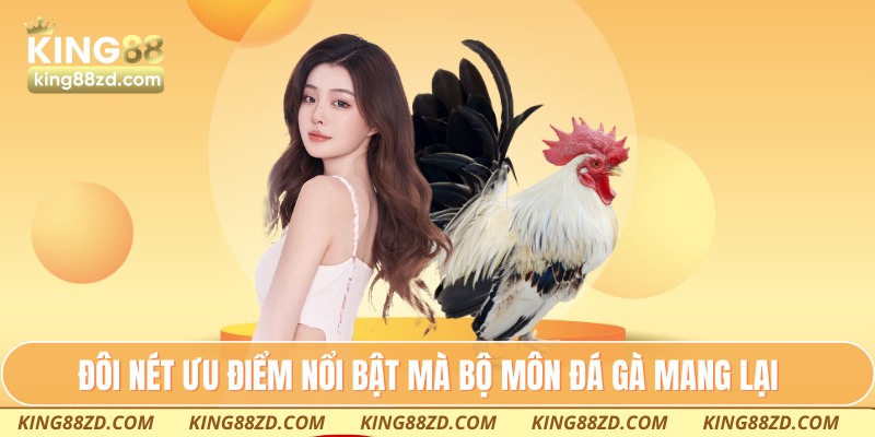 Đôi nét ưu điểm nổi bật mà bộ môn đá gà mang lại