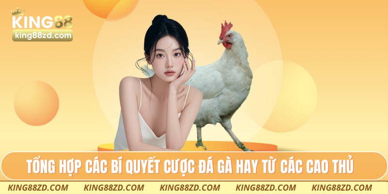 Tổng hợp các bí quyết cược đá gà hay từ các cao thủ