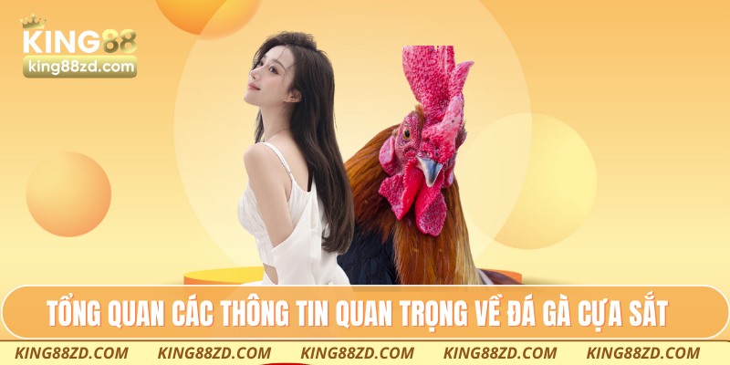 Tổng quan các thông tin quan trọng về đá gà cựa sắt