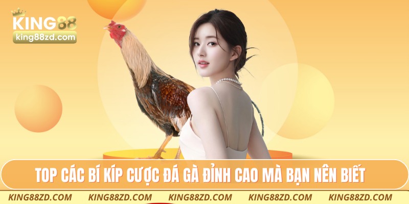 TOP các bí kíp cược đá gà đỉnh cao mà bạn nên biết