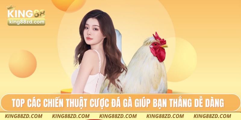 TOP các chiến thuật cược đá gà giúp bạn thắng dễ dàng